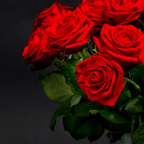 10 most romantic flowers