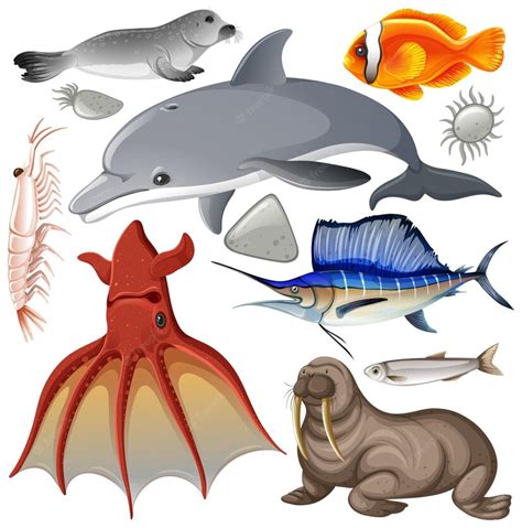 Premium Vector | Sea animals vector collection