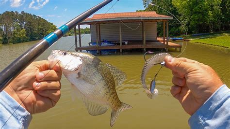 How To Catch Fish Around Docks: Summer Fishing Tips — Tactical Bassin ...