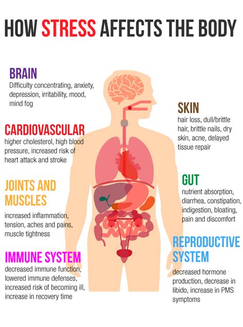 Body Signals: Stress | Greensboro Chiropractic