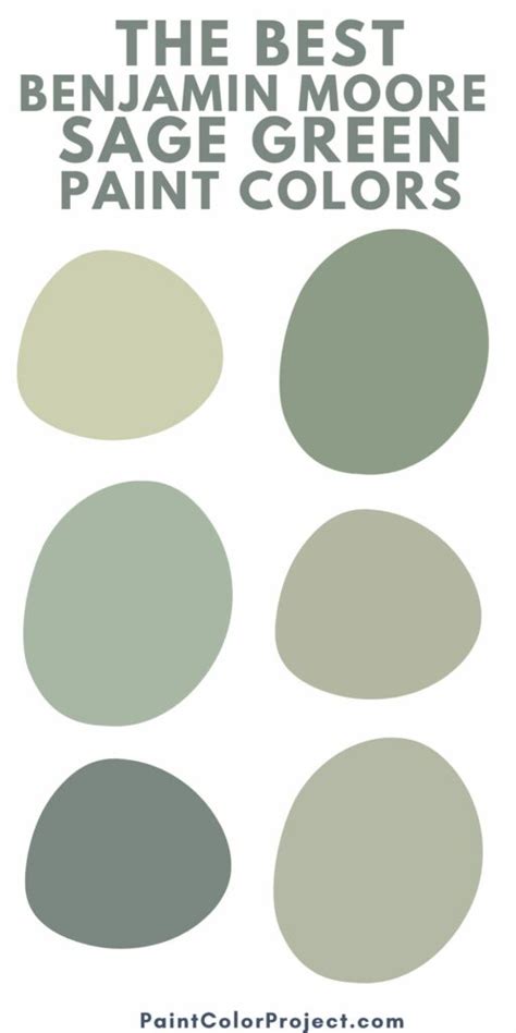 The 6 best Benjamin Moore Sage Green paint colors - The Paint Color Project