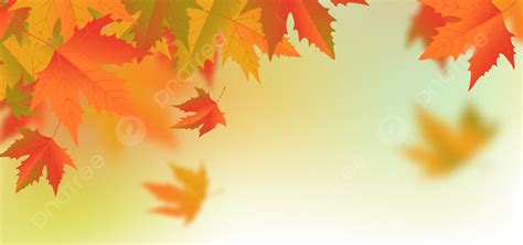 Falling Colorful Autumn Leaves Vector Background, Autumn, Leaf, Leaves ...