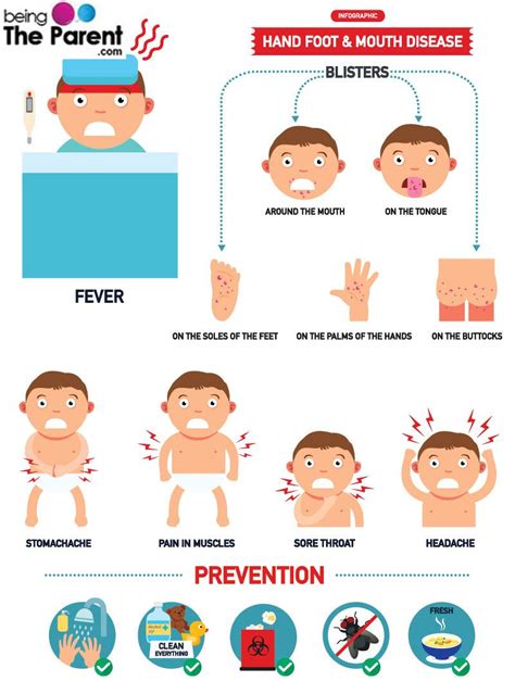 hand foot mouth disease symptoms - Bridget Ferguson