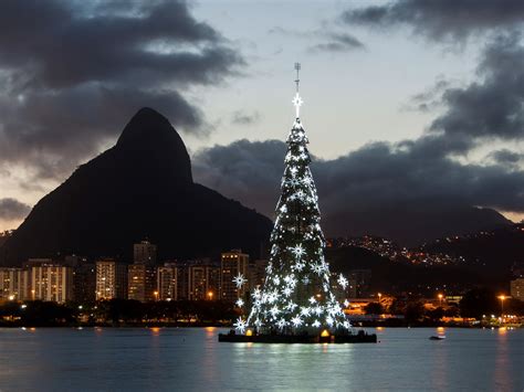 The Best Christmas Trees in the World - BNL