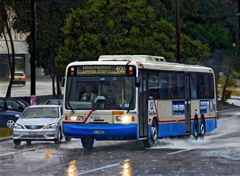 Sydney Buses 3429 - Steve Leadenham Transport Art