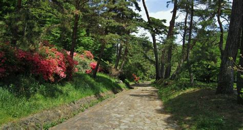 Hiking the Historic Nakasendo Trail: 3 Days in the Kiso Valley