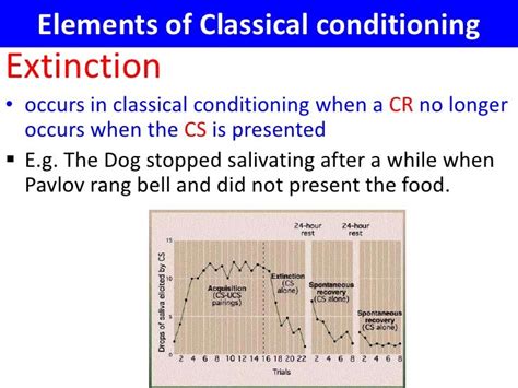 VCE U4 Psychology - Extinction and spontaneous recovery