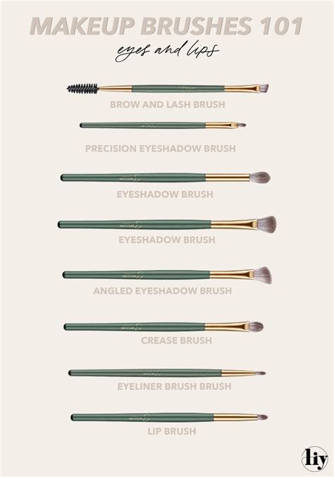 Makeup Brushes 101 | Living in Yellow