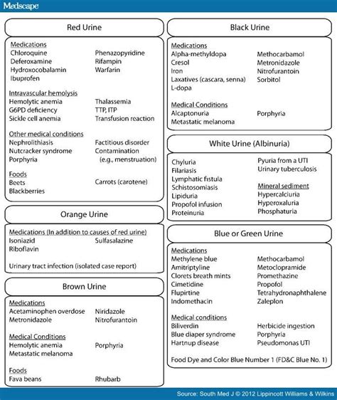 Diagnosis: Blood In Urine Diagnosis