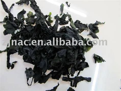 Dried Wakame,China price supplier - 21food