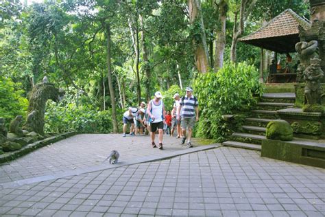 Ubud Monkey Forest inhabited by several groups of monkeys