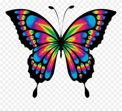 Colorful Butterfly Drawing Clipart (#5384751) - PinClipart