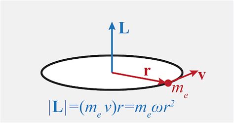 Angular Momentum: Definition, Formula, Calculations, and Solved Questions