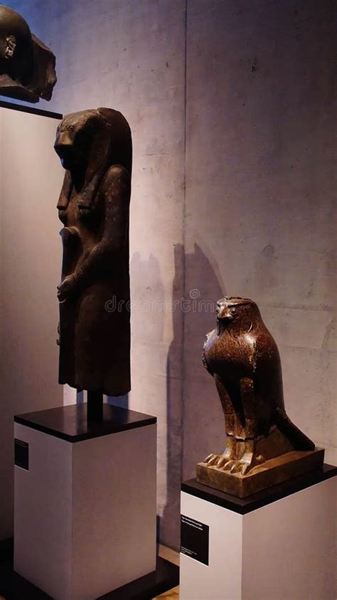 Falcon Statue of the God Horus Editorial Photography - Image of statue, museum: 237631687