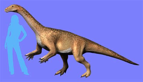 Riojasaurus Facts for Kids