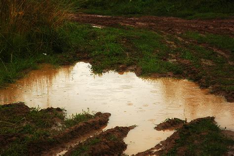 Photos Nature Puddle Mud