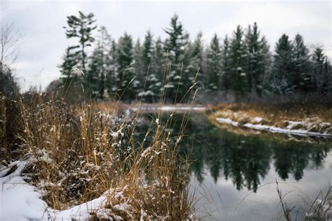 Island camping on lake of the woods : r/camping