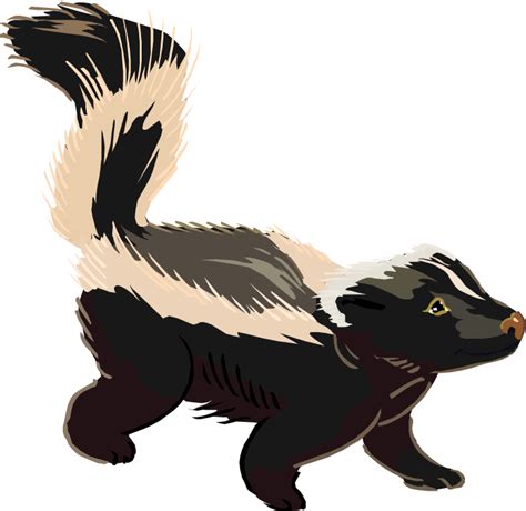 Free Skunk Cliparts, Download Free Skunk Cliparts png images, Free ClipArts on Clipart Library