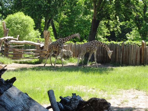 The Ineck Family: Boise Zoo