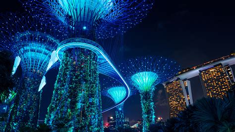 Gardens by the Bay: Supertree Grove Opens till 2am Daily & Entry is Free