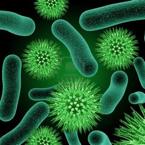 Types of Bacteria | New Health Guide