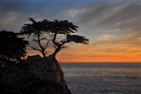 Lone Cypress Sunset II by Allen59 on deviantART