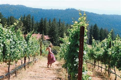 Santa Cruz Wineries Guide: Wine Tasting in the Santa Cruz Mountains