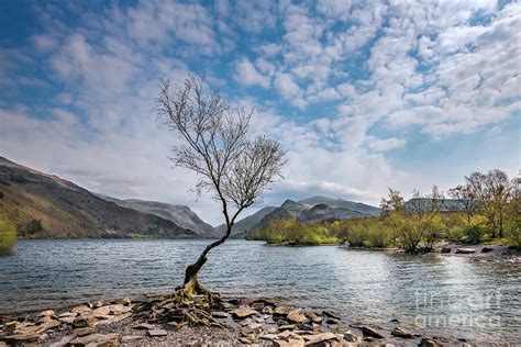 Llyn Padarn Llanberis Snowdonia Photograph by Adrian Evans - Pixels