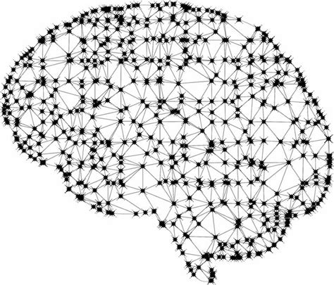 Weak Brain Nodes Have Strong Influence on Memory Network - Neuroscience News