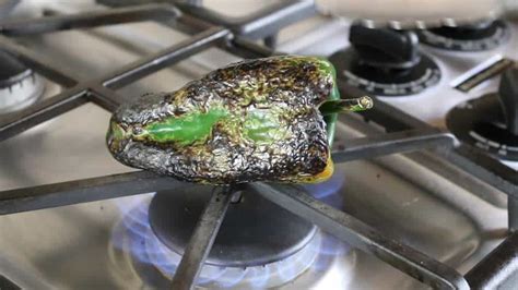 Cream Cheese Stuffed Poblano Peppers Recipe - Chili Pepper Madness