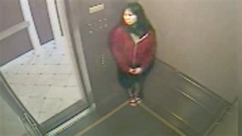 The Bizarre Death of Elisa Lam - What Happened to her in the Elevator?