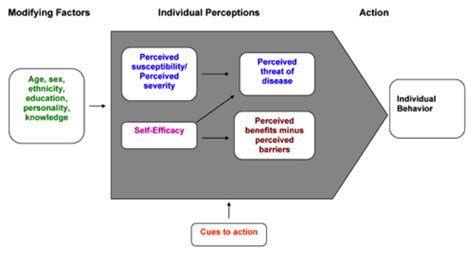 ️ Health belief model examples. Health Belief Model Essay Example for Free. 2019-02-21