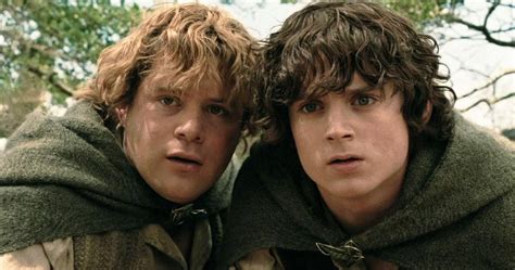 Was Frodo Baggins Gay and Is Sam in Love With Him?