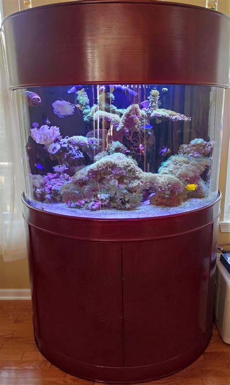 Moon View Half Cylinder Set | Half Moon Aquarium and Stand | Aqua Vim | Aquarium, Aquarium set ...