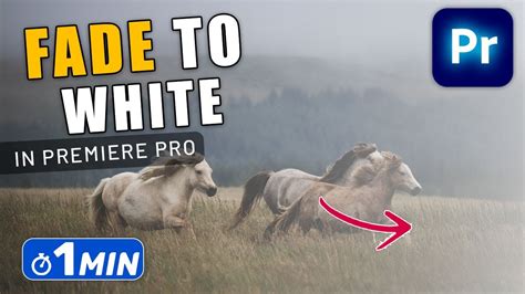 How to do FADE to WHITE Effect in Premiere Pro - YouTube