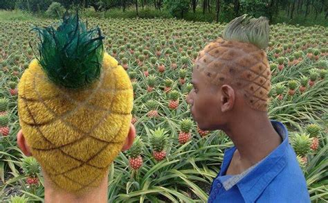 Pineapple heads. Bad Haircut, Arm Warmers, Hair Cuts, Dreadlocks, Hair ...