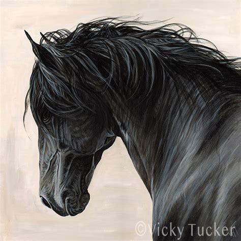 Black Stallion - North Art