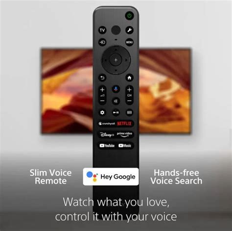 RMF-TX811U Genuine Original SONY TV Voice Remote Control X77L Series ...