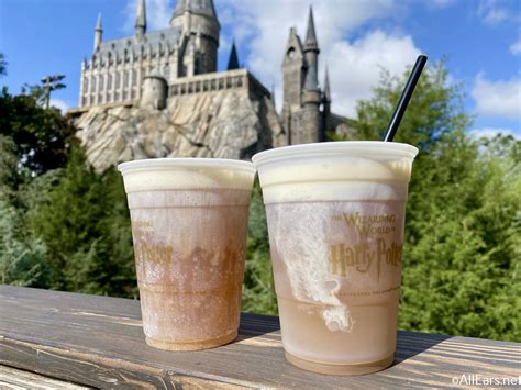 A First Timer’s Guide to the Wizarding World of Harry Potter at Universal Studios - AllEars.Net