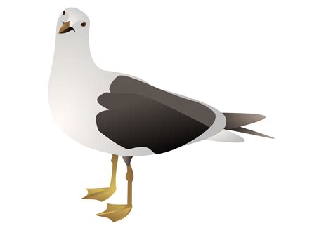 Clipart seagull - WikiClipArt