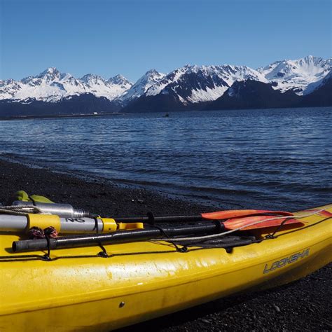 Resurrection Bay Half Day Sea Kayaking Tours | Adventure Sixty North