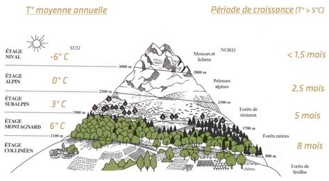 Climate change and its impacts in the Alps | CREA Mont-Blanc