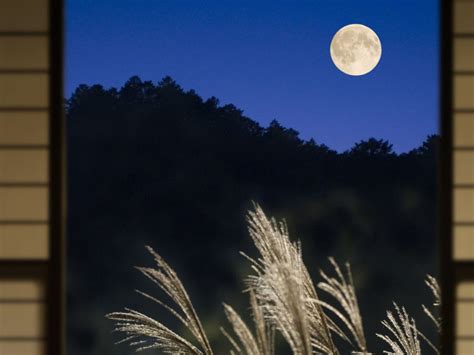 Moon Kyoto – Bing Wallpaper Download