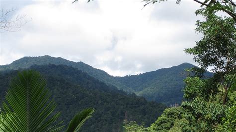 Semai Country: An Indigenous Cultural Landscape in Peninsular Malaysia | by Karen Heikkilä ...