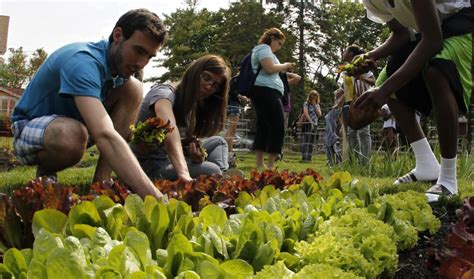 Top 10 Best Colleges For Environmental Science 2024 - College US