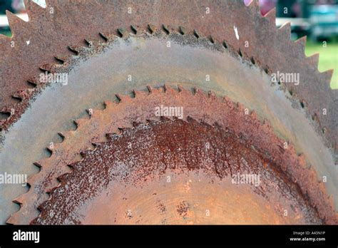 Buzz Saw Blades (Also called Cordwood Saws Stock Photo - Alamy