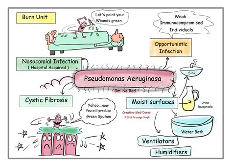 Pseudomonas aeruginosa: Nosocomial terrorist - Creative Med Doses