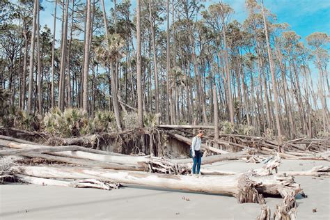 Huntington Beach State Park, SC | State parks, Travel photography ...