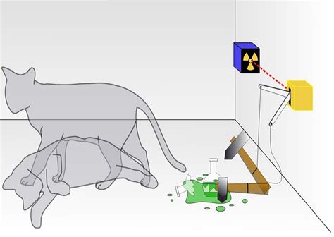 Physicists 'Breed' Schrödinger's Cat to Discover Limits of the Quantum ...