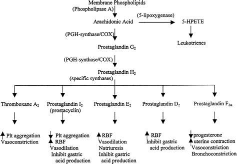 Aspirin Mechanism Of Action